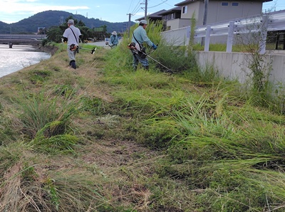 東大川河川堤防の雑草(木)の伐採1=補正後.JPG