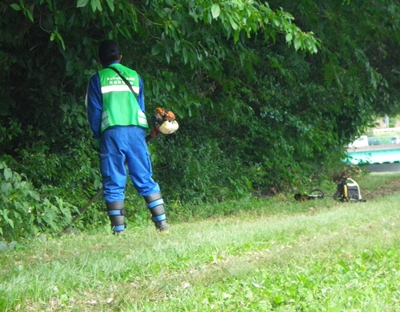 IMGP4368.JPG