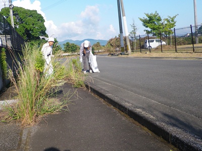 IMGP4387.JPG